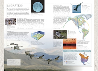 Sample content 4_Birds Of Canada