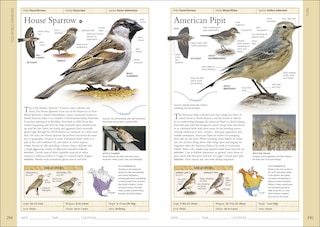 Sample content 4_Birds of Eastern Canada