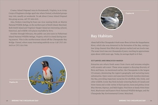 Aperçu du contenu 2_Birds of the Chesapeake Bay