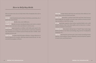 Aperçu du contenu 3_Birds of the Chesapeake Bay