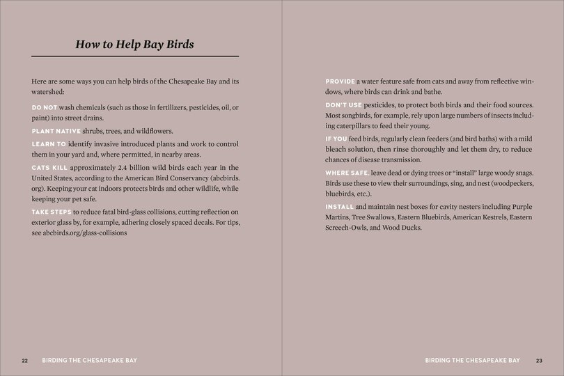 Aperçu du contenu 3_Birds of the Chesapeake Bay