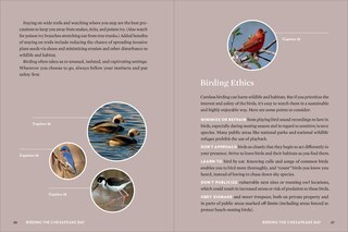 Aperçu du contenu 4_Birds of the Chesapeake Bay