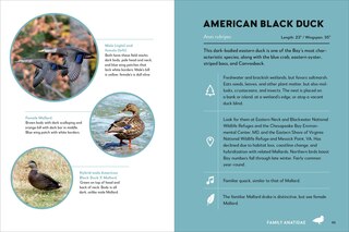 Aperçu du contenu 5_Birds of the Chesapeake Bay