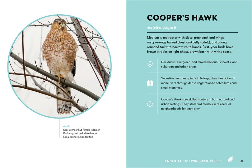 Sample content_Birds of the Great Lakes