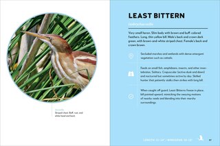 Sample content 2_Birds of the Great Lakes