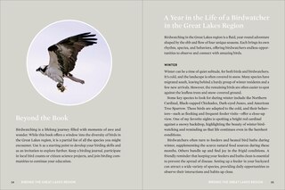 Sample content 3_Birds of the Great Lakes
