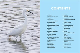 Sample content 4_Birds of the Great Lakes