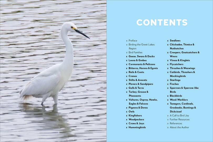 Sample content 4_Birds of the Great Lakes