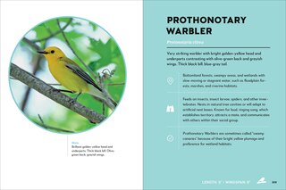 Sample content 5_Birds of the Great Lakes
