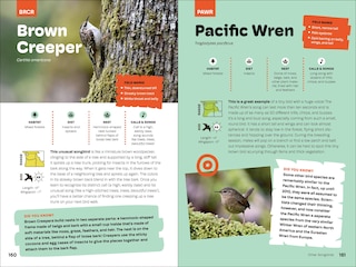 Sample content_Birds of the Pacific Northwest For Kids