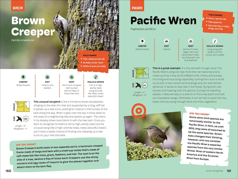 Sample content_Birds of the Pacific Northwest For Kids
