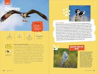 Sample content 2_Birds of the Pacific Northwest For Kids