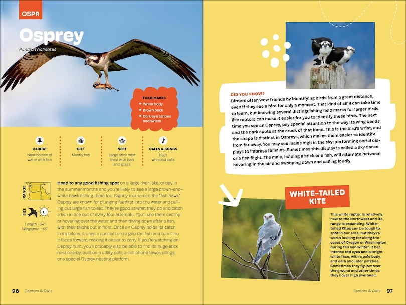 Sample content 2_Birds of the Pacific Northwest For Kids