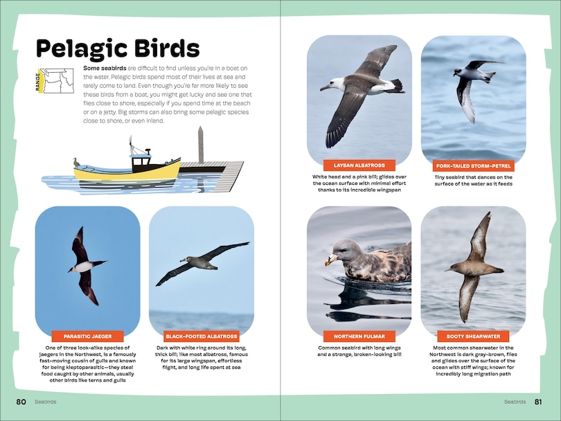 Sample content 3_Birds of the Pacific Northwest For Kids