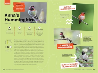 Sample content 4_Birds of the Pacific Northwest For Kids