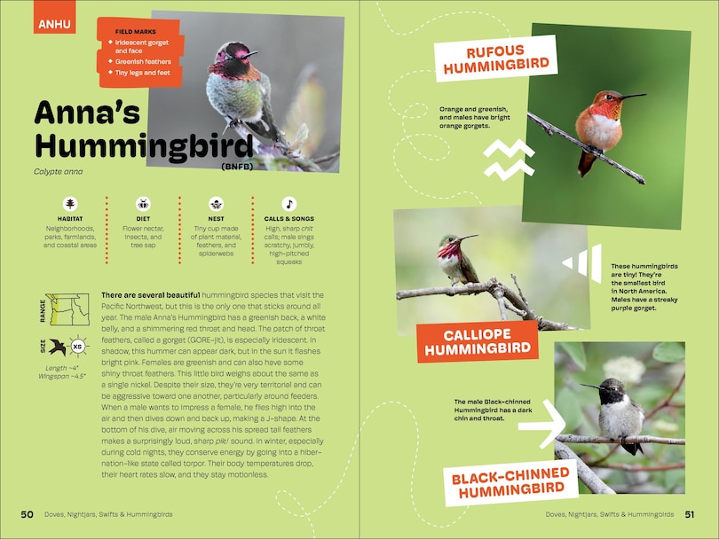Sample content 4_Birds of the Pacific Northwest For Kids