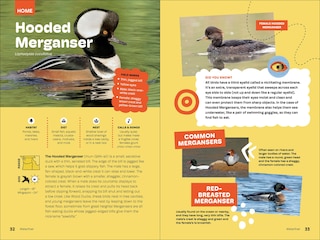 Sample content 5_Birds of the Pacific Northwest For Kids