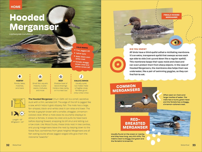 Sample content 5_Birds of the Pacific Northwest For Kids