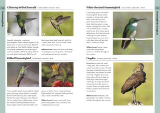 Sample content 3_Birds of Uruguay