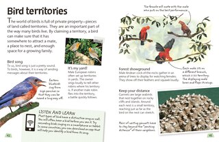 Aper&ccedil;u du contenu 2_Birds