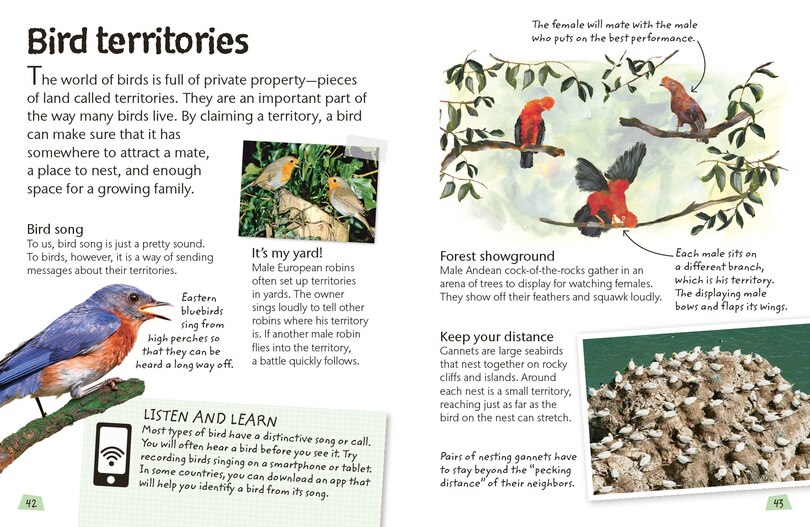 Aper&ccedil;u du contenu 2_Birds