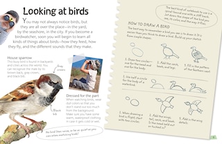 Aper&ccedil;u du contenu 4_Birds