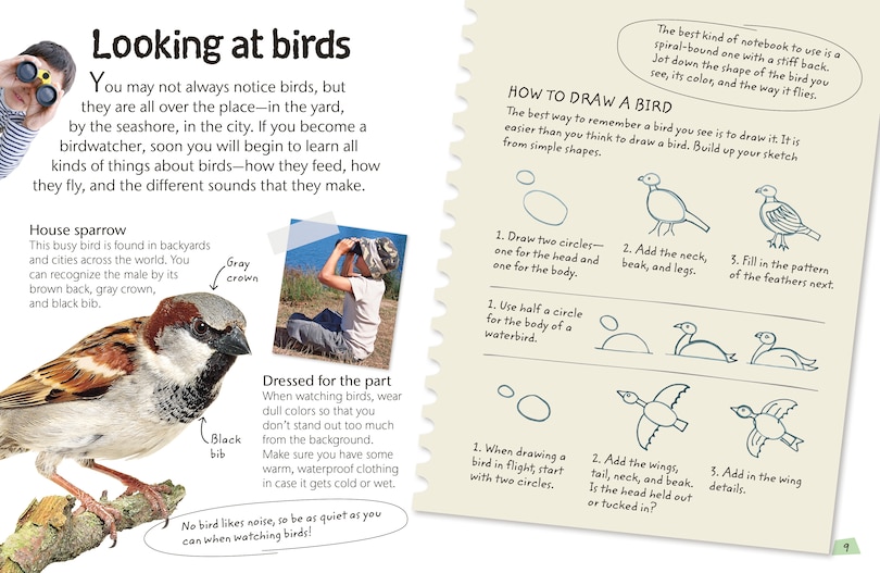 Aper&ccedil;u du contenu 4_Birds