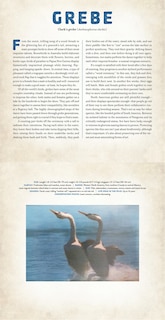 Aper&ccedil;u du contenu_Birds