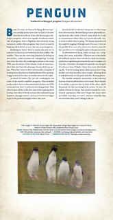 Aper&ccedil;u du contenu 2_Birds