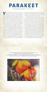 Aper&ccedil;u du contenu 4_Birds