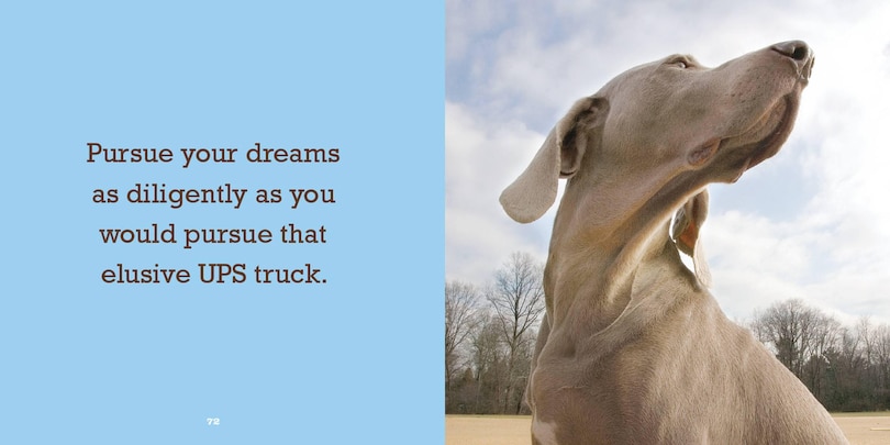 Aper&ccedil;u du contenu 2_Biscuit for Your Thoughts?