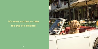 Aper&ccedil;u du contenu 3_Biscuit for Your Thoughts?