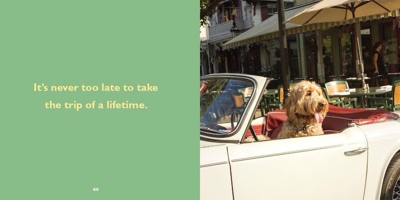 Aper&ccedil;u du contenu 3_Biscuit for Your Thoughts?