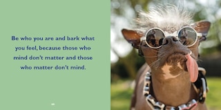 Aper&ccedil;u du contenu 4_Biscuit for Your Thoughts?