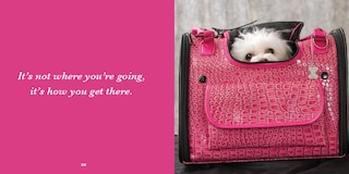 Aper&ccedil;u du contenu 5_Biscuit for Your Thoughts?