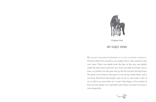 Sample content 2_Black Beauty