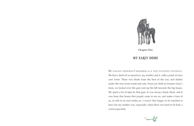 Sample content 2_Black Beauty