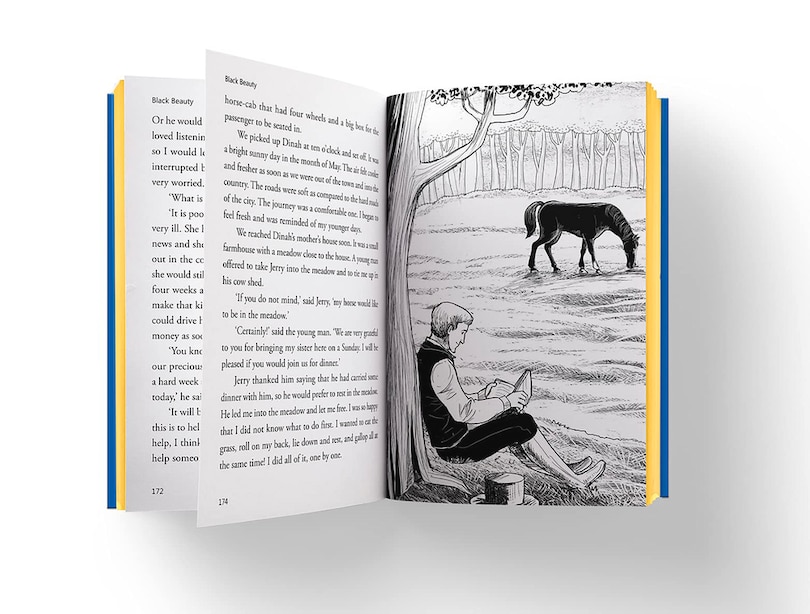 Aper&ccedil;u du contenu 2_Black Beauty