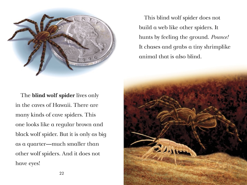 Aperçu du contenu_Black Out!: Animals That Live In The Dark