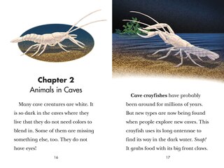 Aperçu du contenu 3_Black Out!: Animals That Live In The Dark