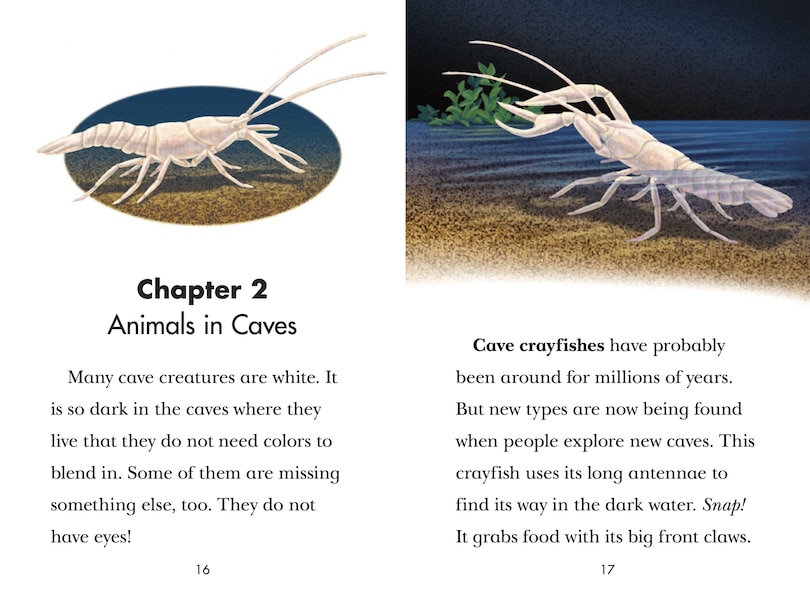 Aperçu du contenu 3_Black Out!: Animals That Live In The Dark