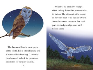 Aperçu du contenu 4_Black Out!: Animals That Live In The Dark