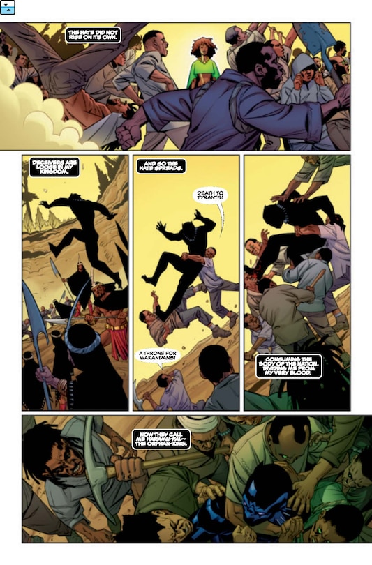 Aperçu du contenu 5_BLACK PANTHER: A NATION UNDER OUR FEET [MARVEL PREMIER COLLECTION]