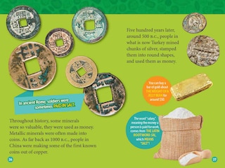 Sample content_Bling! (National Geographic Kids Readers, Level 3)