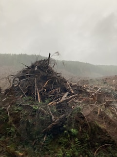 Aper&ccedil;u du contenu 3_Blue thinks itself within me