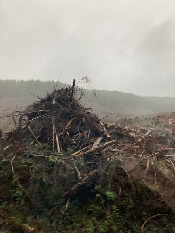 Aper&ccedil;u du contenu 3_Blue thinks itself within me