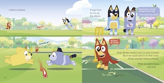 Sample content 5_Bluey: Cricket