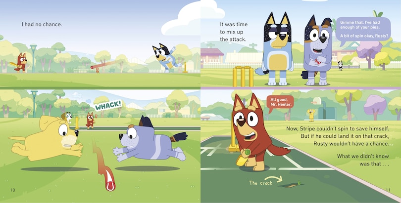 Sample content 5_Bluey: Cricket
