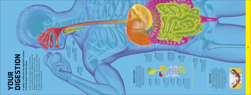 Aper&ccedil;u du contenu 2_Body