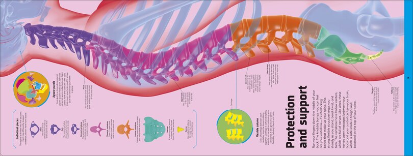 Aper&ccedil;u du contenu 5_Body